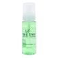 Tea Tree