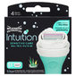 Intuition Sensitive