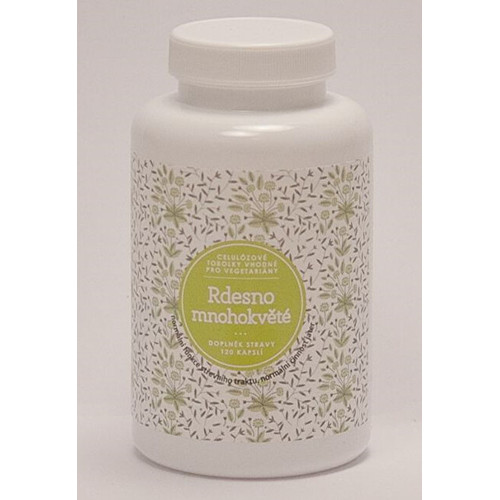 Rdesno mnohokvěté