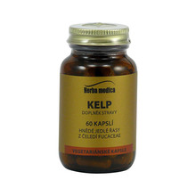 Kelp -