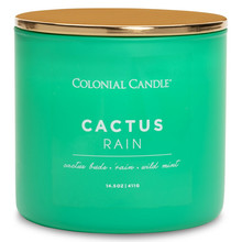 Cactus Rain